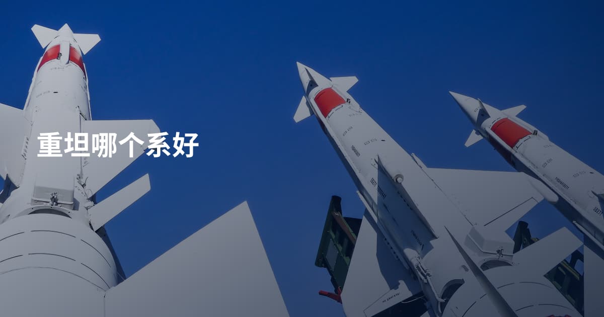 重坦哪个系好