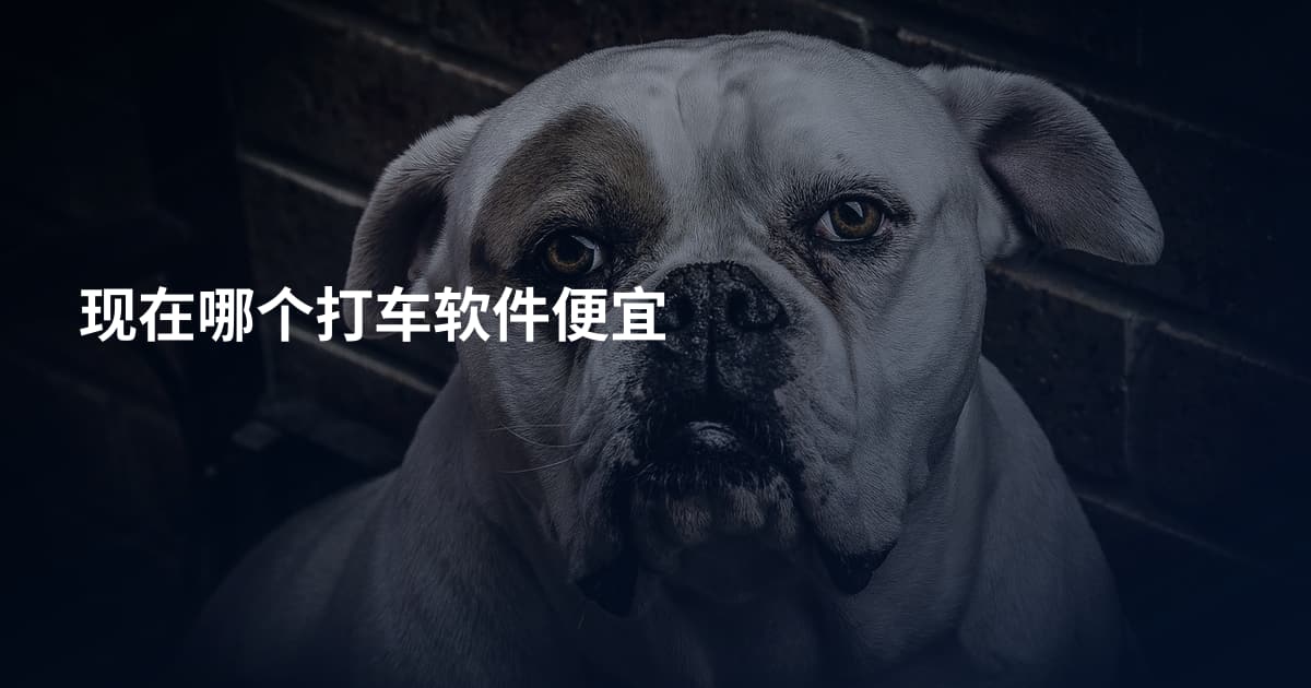 现在哪个打车软件便宜
