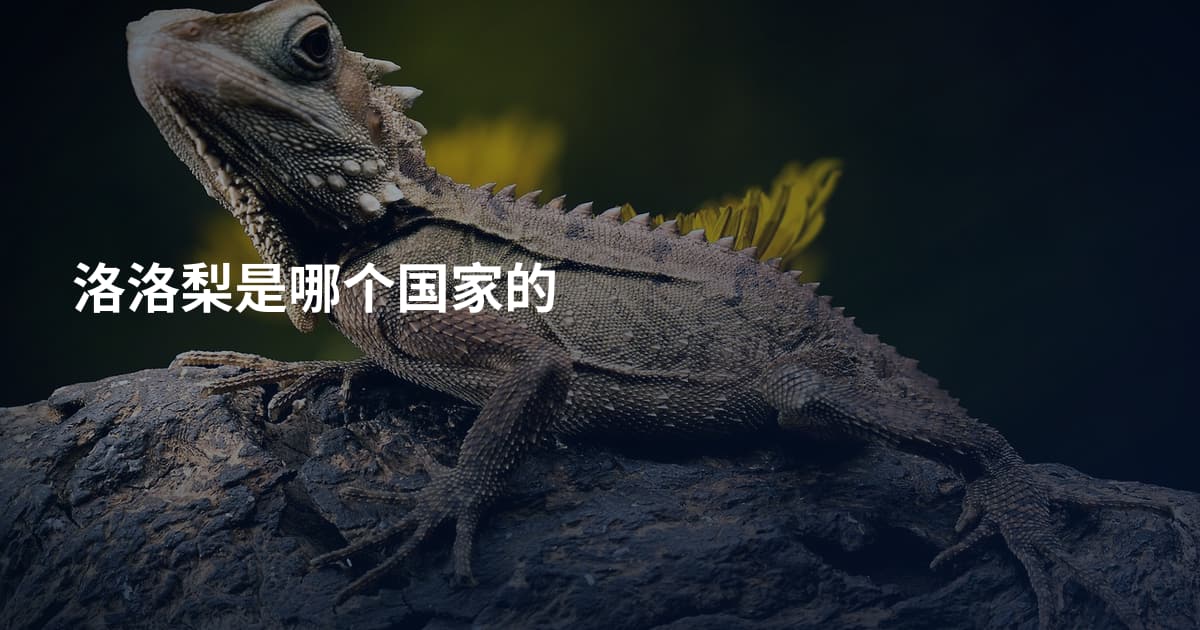 洛洛梨是哪个国家的