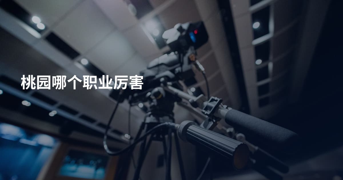 桃园哪个职业厉害