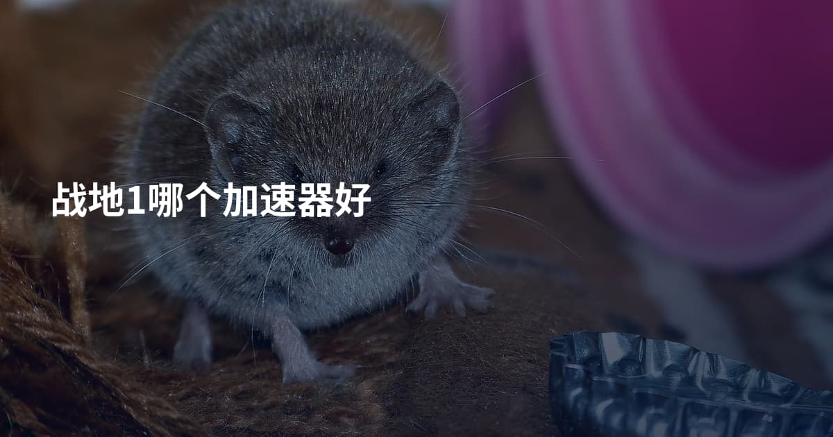 战地1哪个加速器好
