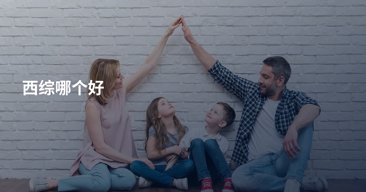 西综哪个好