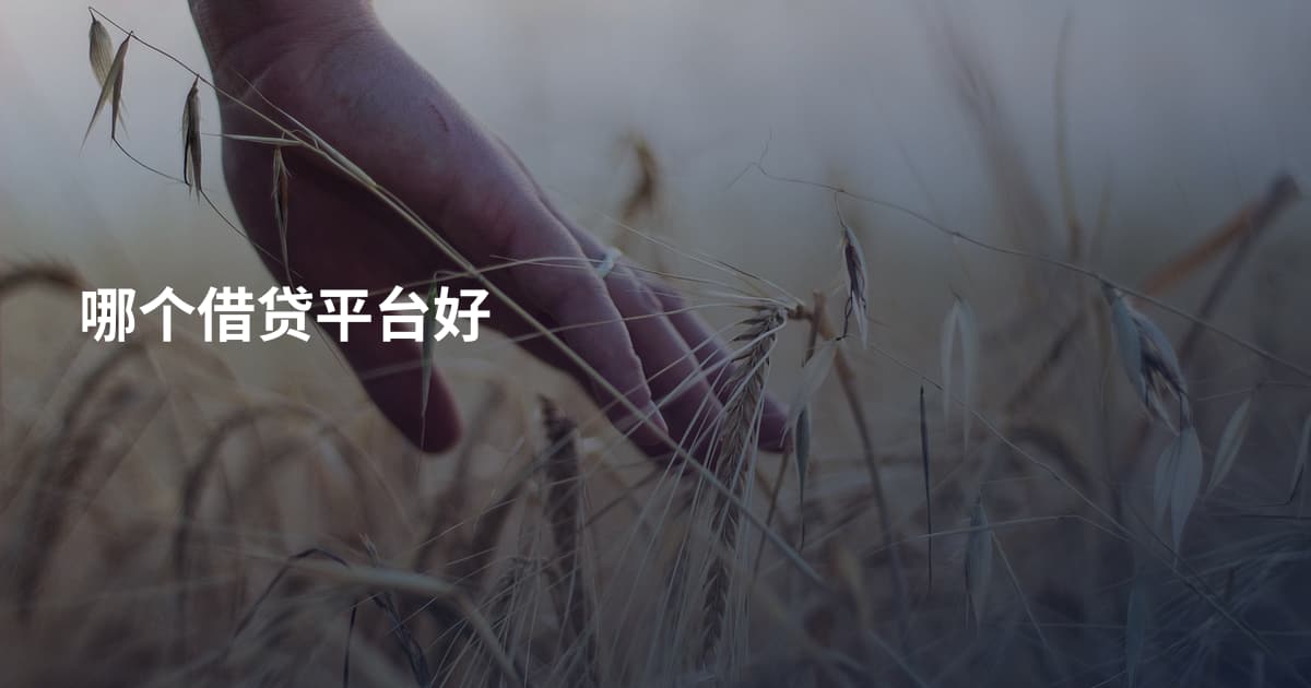 哪个借贷平台好