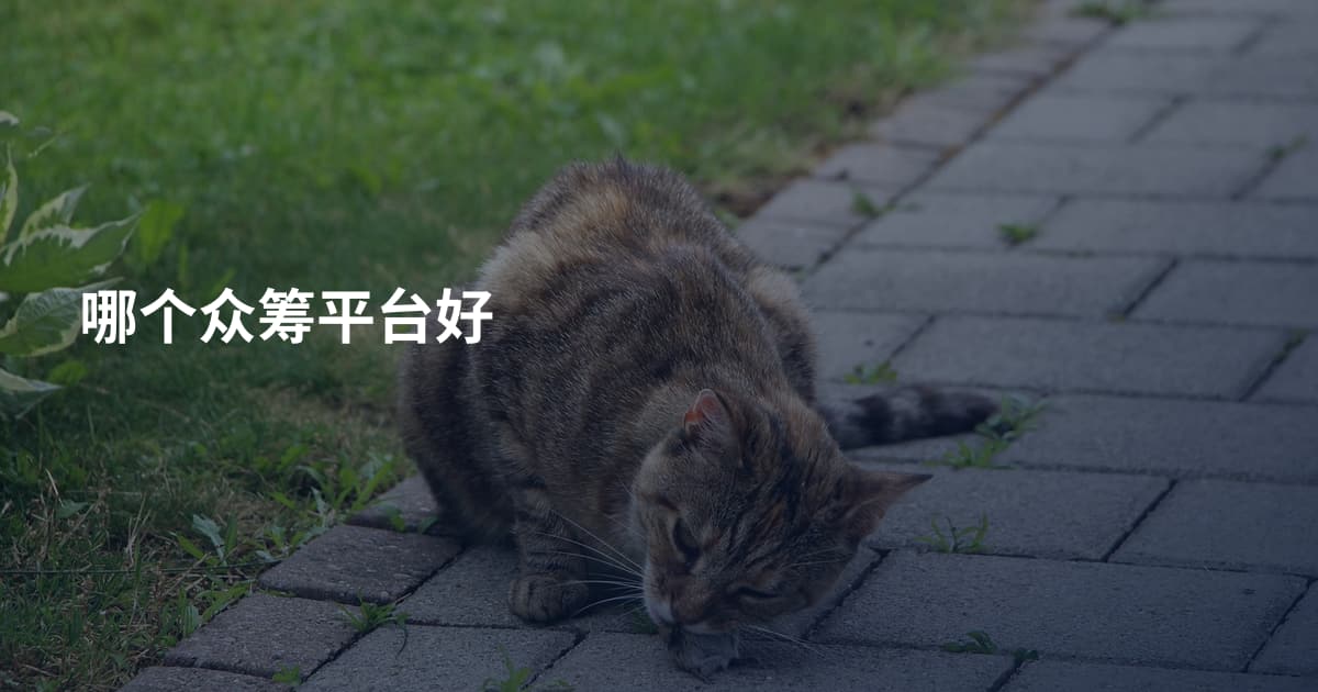 哪个众筹平台好