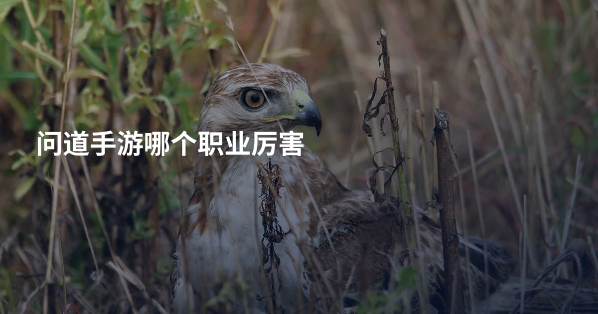 问道手游哪个职业厉害