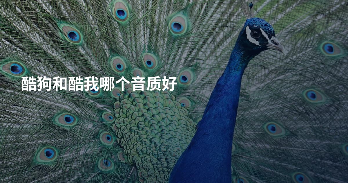 酷狗和酷我哪个音质好