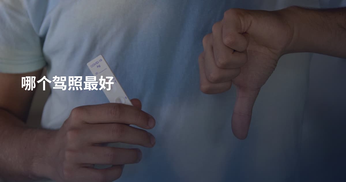 哪个驾照最好