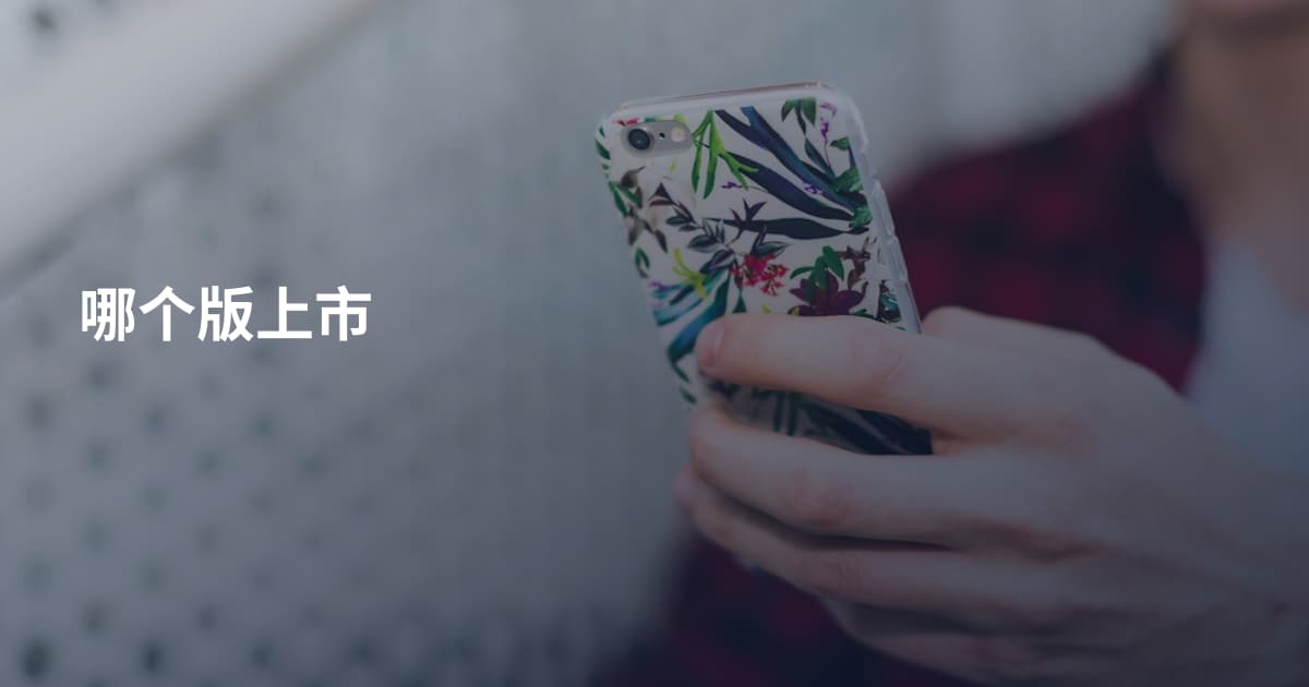 哪个版上市
