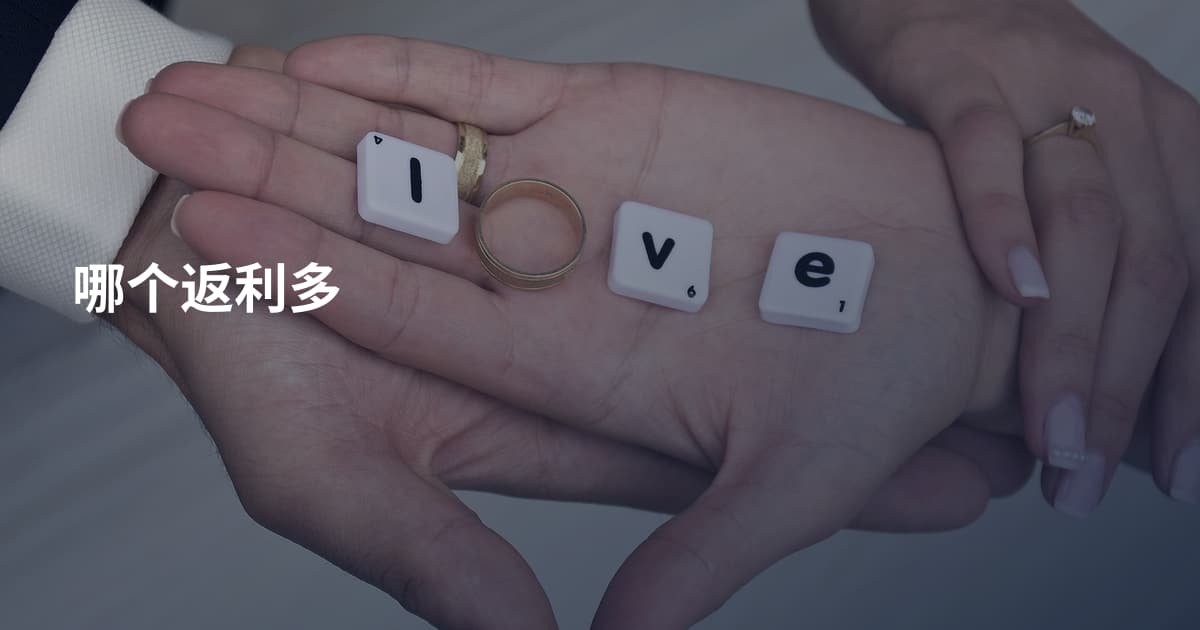 哪个返利多