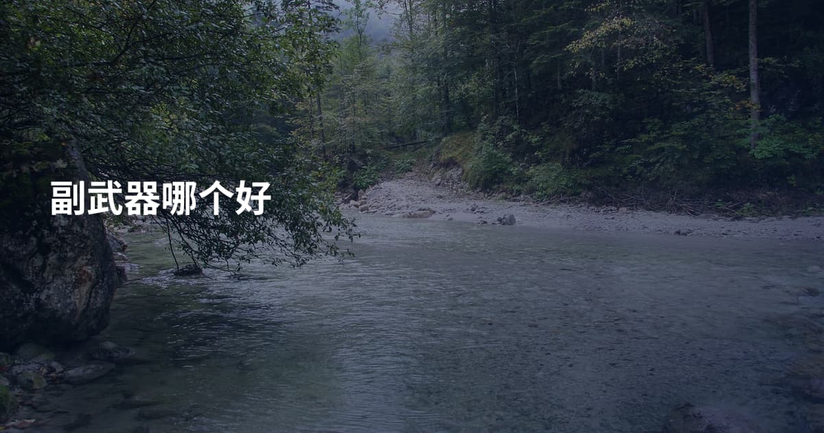 副武器哪个好