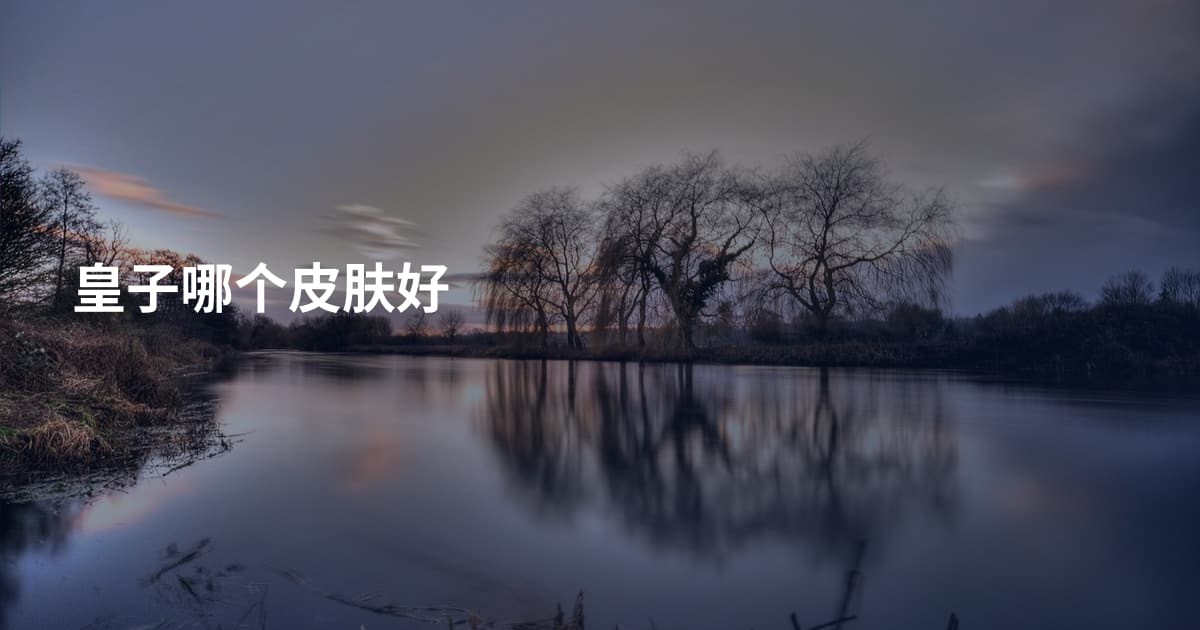 皇子哪个皮肤好