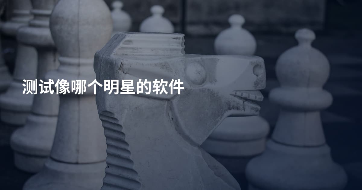 测试像哪个明星的软件