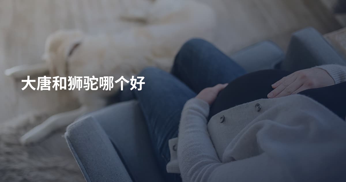 大唐和狮驼哪个好