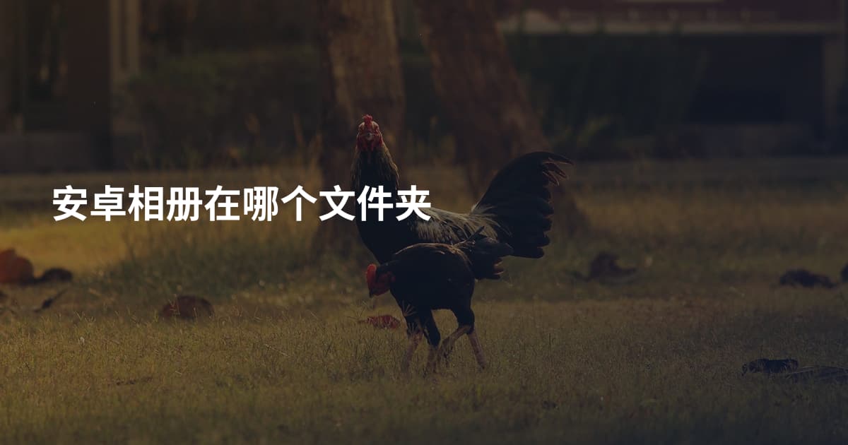 安卓相册在哪个文件夹