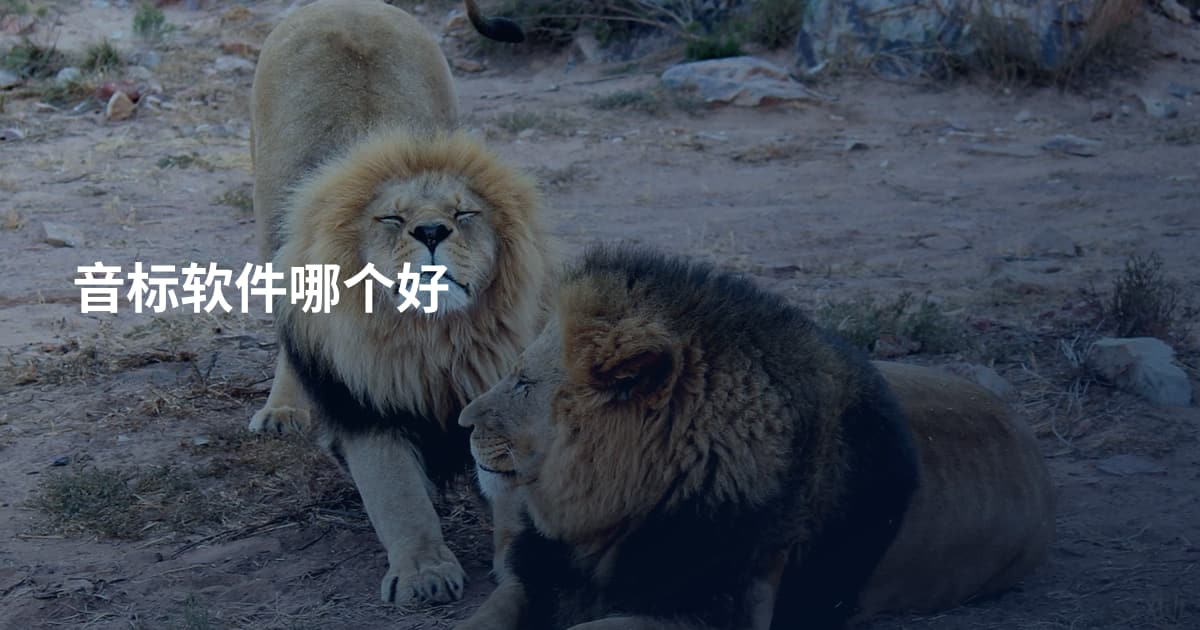 音标软件哪个好