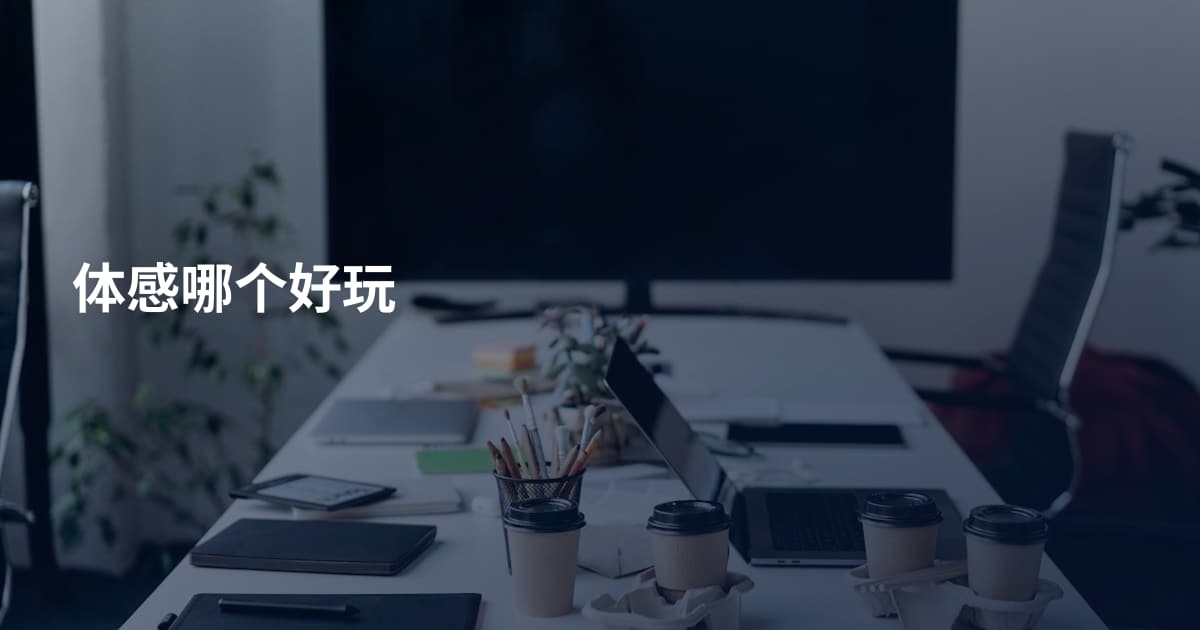 体感哪个好玩