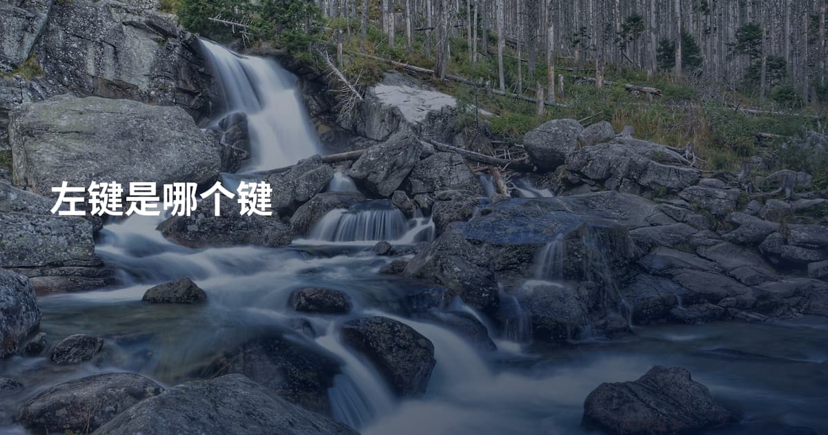 左键是哪个键
