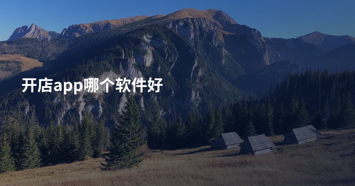 开店app哪个软件好