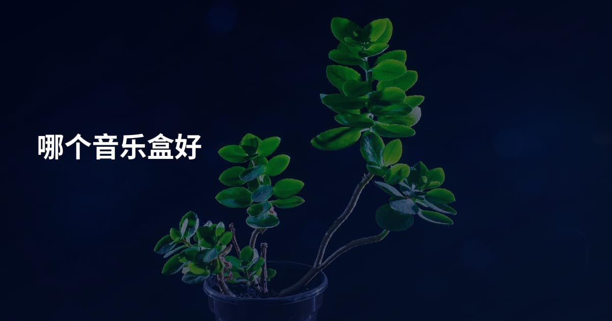 哪个音乐盒好