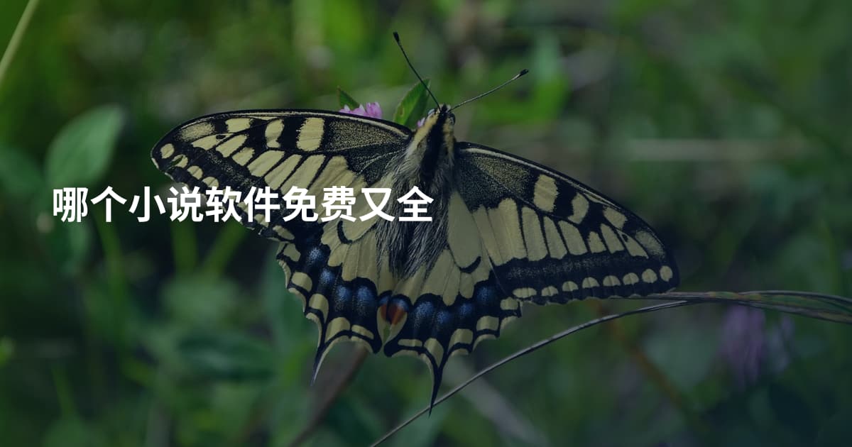 哪个小说软件免费又全