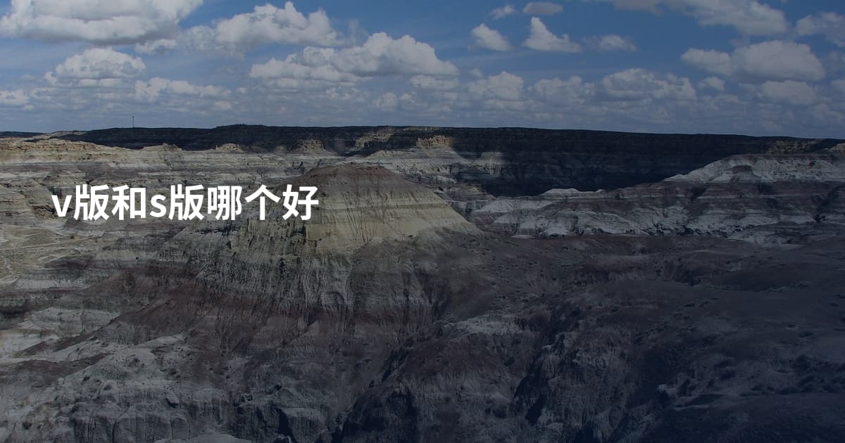 v版和s版哪个好