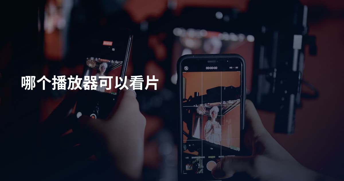 哪个播放器可以看片
