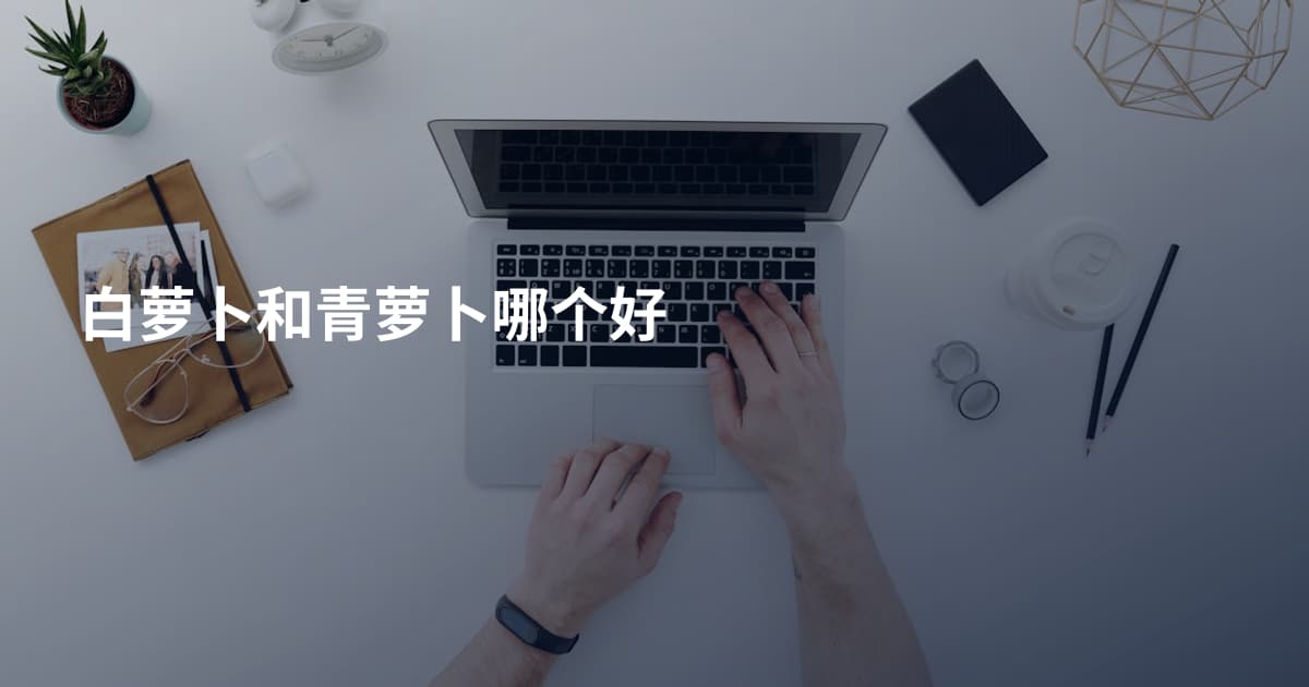 白萝卜和青萝卜哪个好