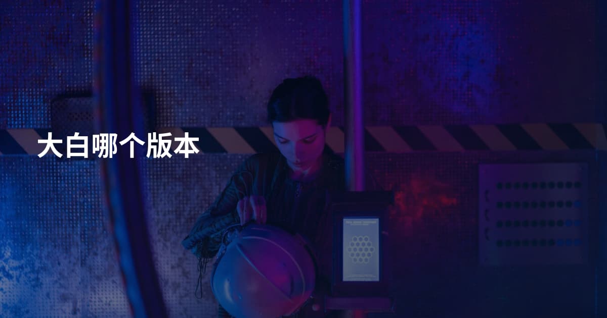 大白哪个版本