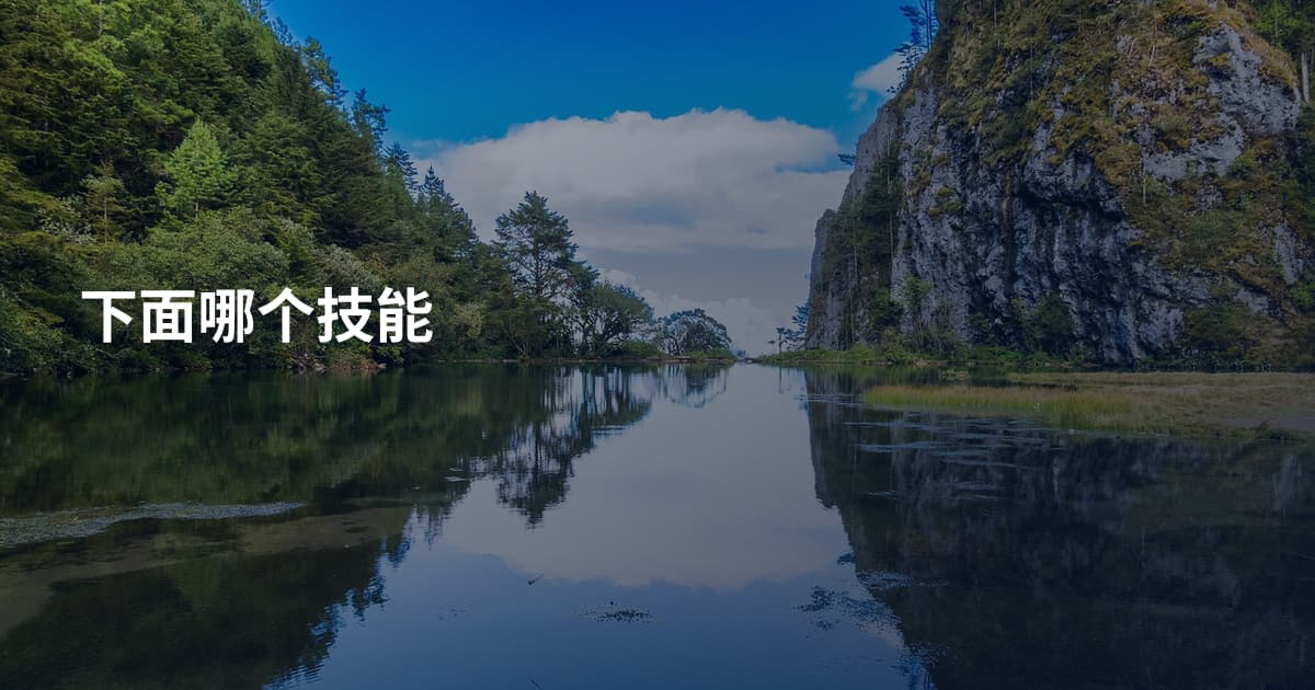 下面哪个技能