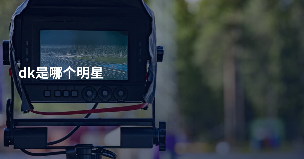 dk是哪个明星