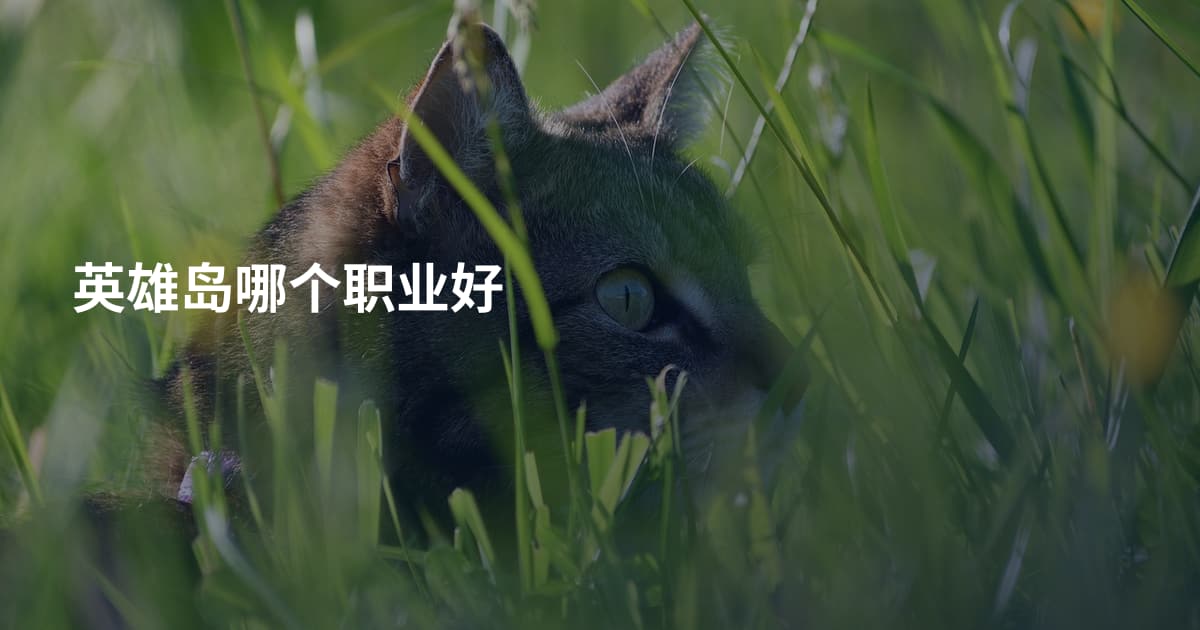 英雄岛哪个职业好