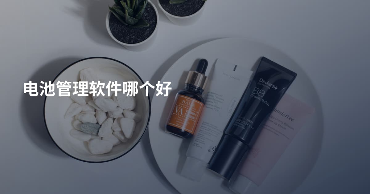 电池管理软件哪个好