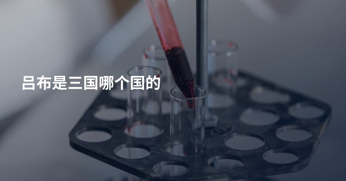 吕布是三国哪个国的