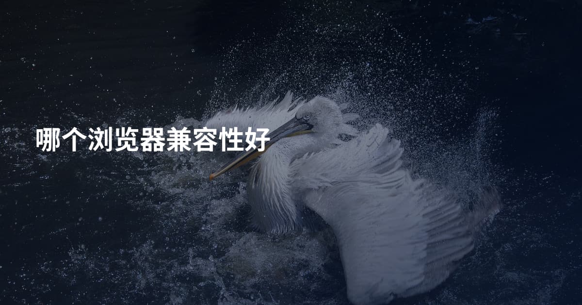哪个浏览器兼容性好