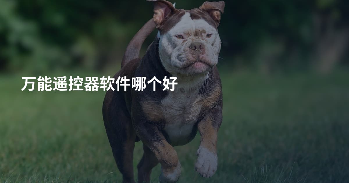 万能遥控器软件哪个好