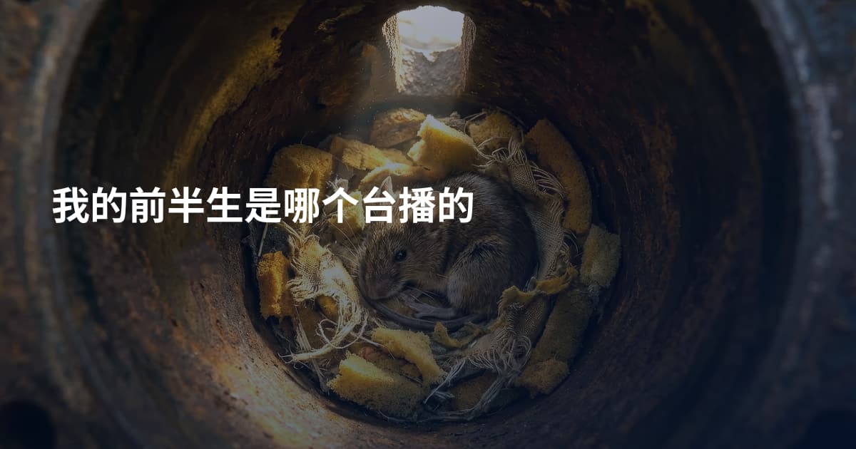 我的前半生是哪个台播的