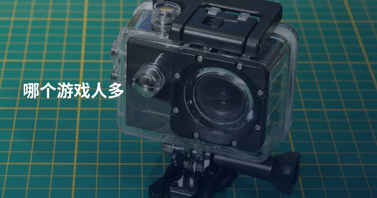 哪个游戏人多