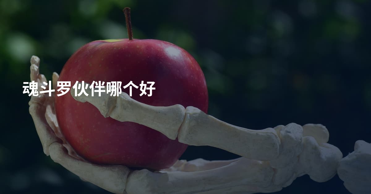 魂斗罗伙伴哪个好