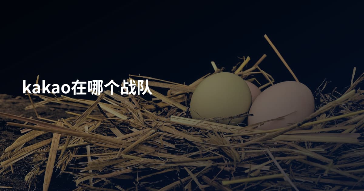 kakao在哪个战队