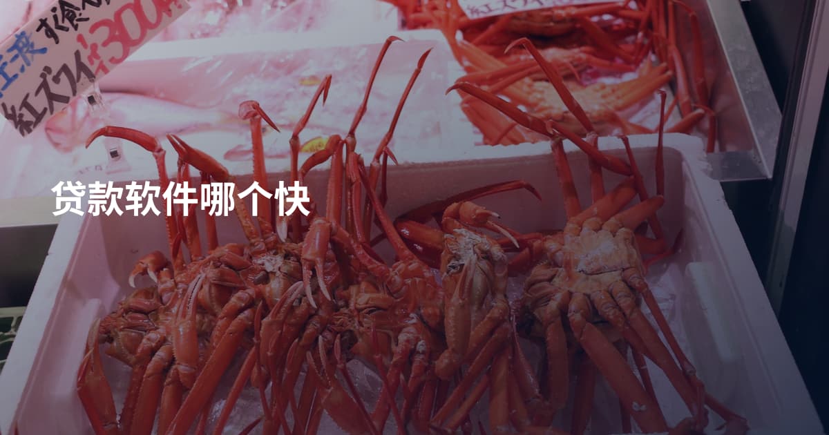 贷款软件哪个快