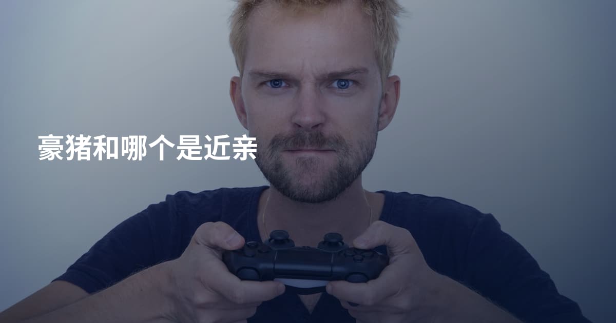 豪猪和哪个是近亲