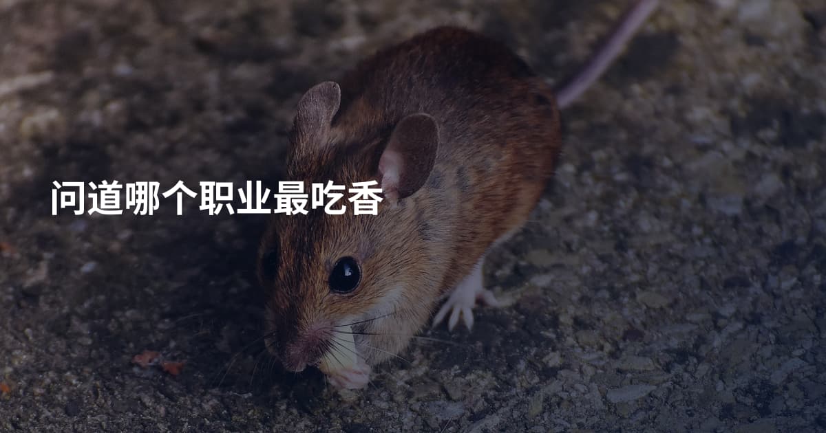 问道哪个职业最吃香