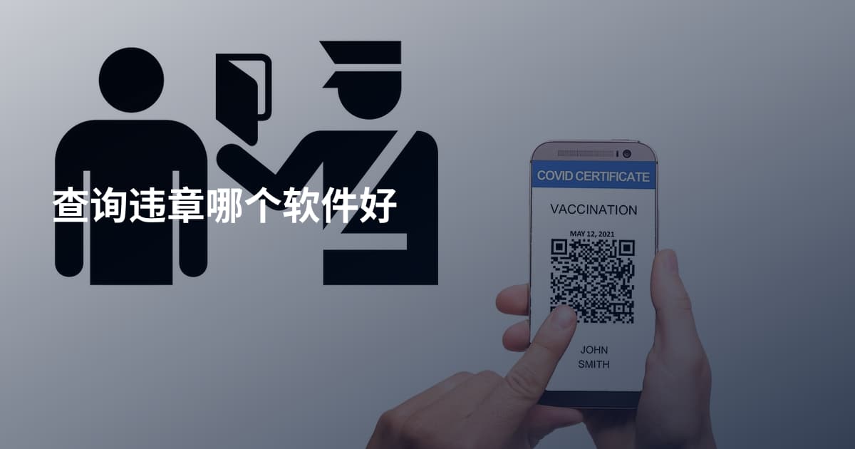 查询违章哪个软件好