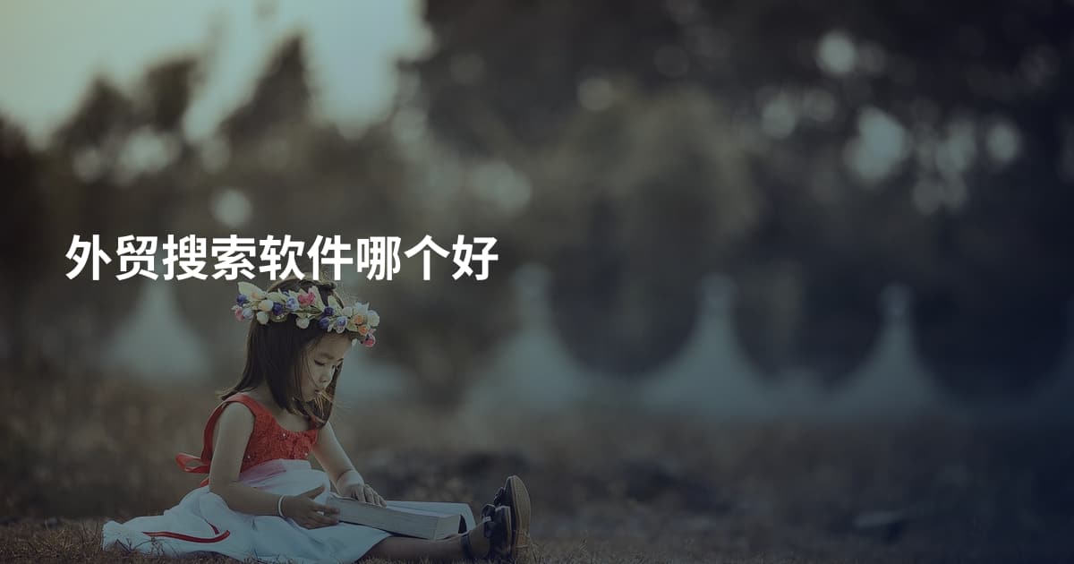 外贸搜索软件哪个好