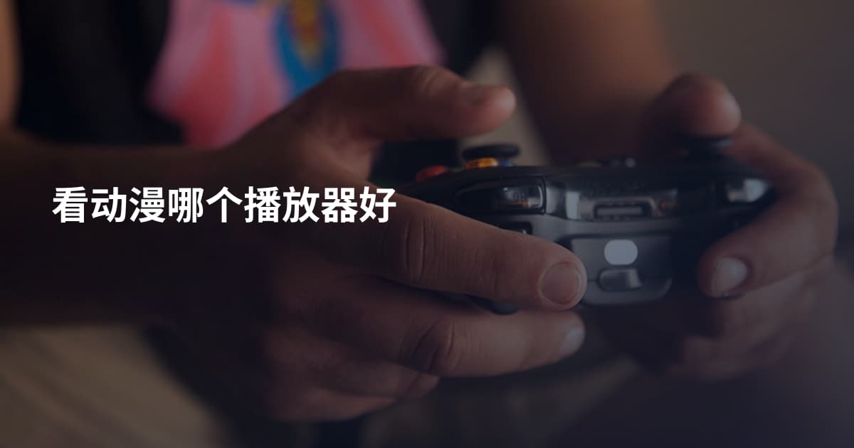 看动漫哪个播放器好