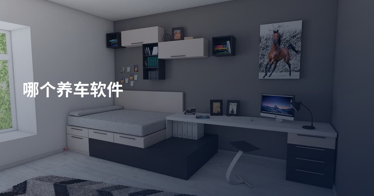 哪个养车软件