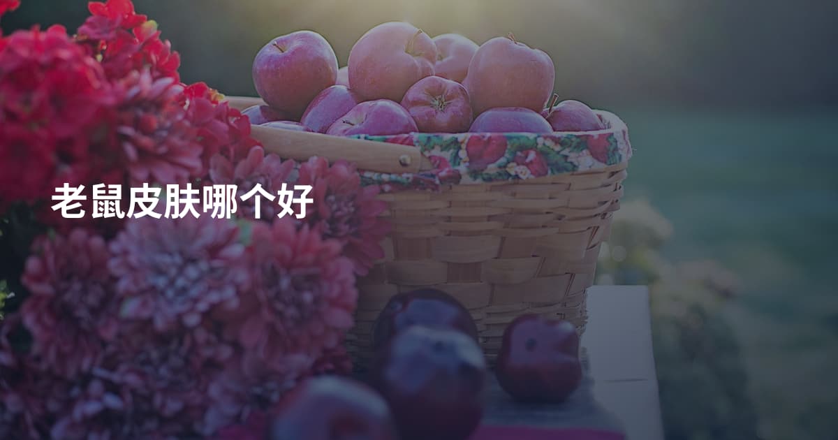 老鼠皮肤哪个好