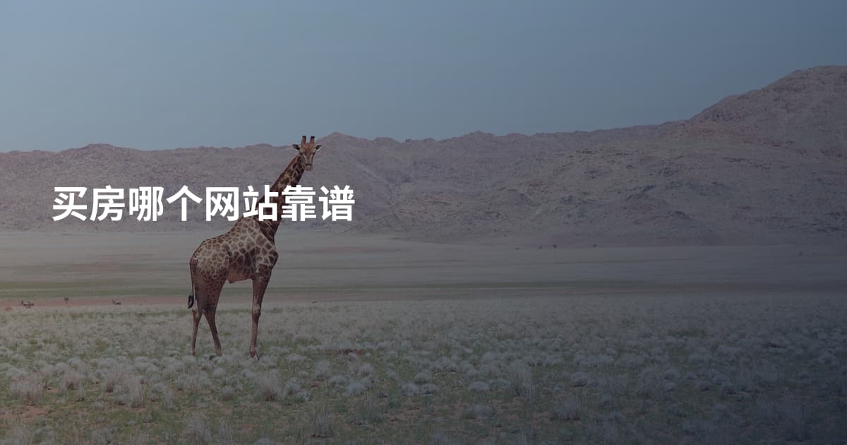 买房哪个网站靠谱