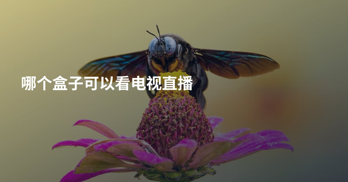 哪个盒子可以看电视直播