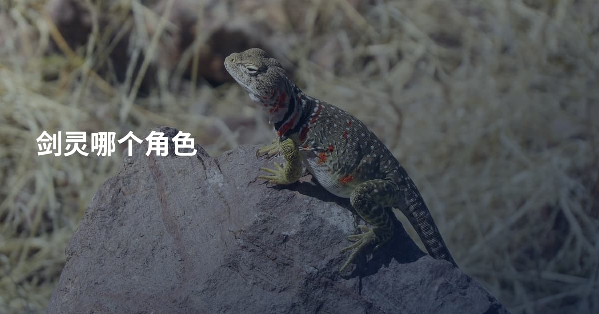 剑灵哪个角色
